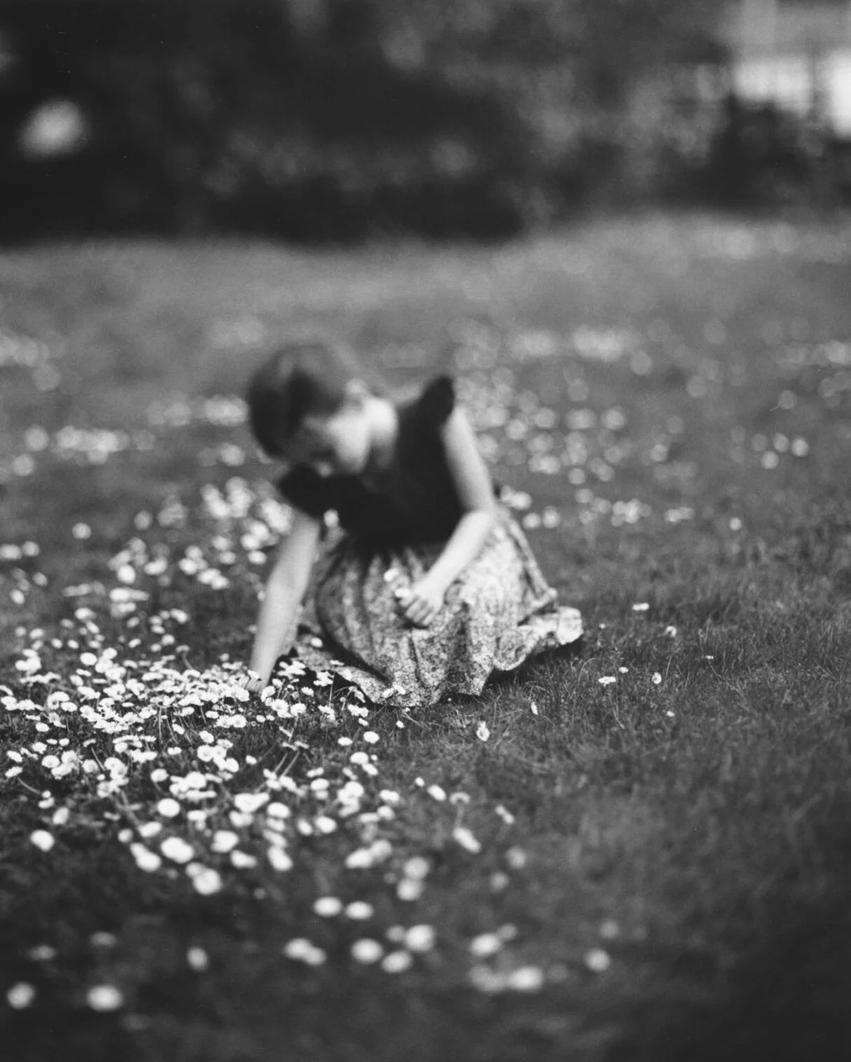 Editionen · Film · analog