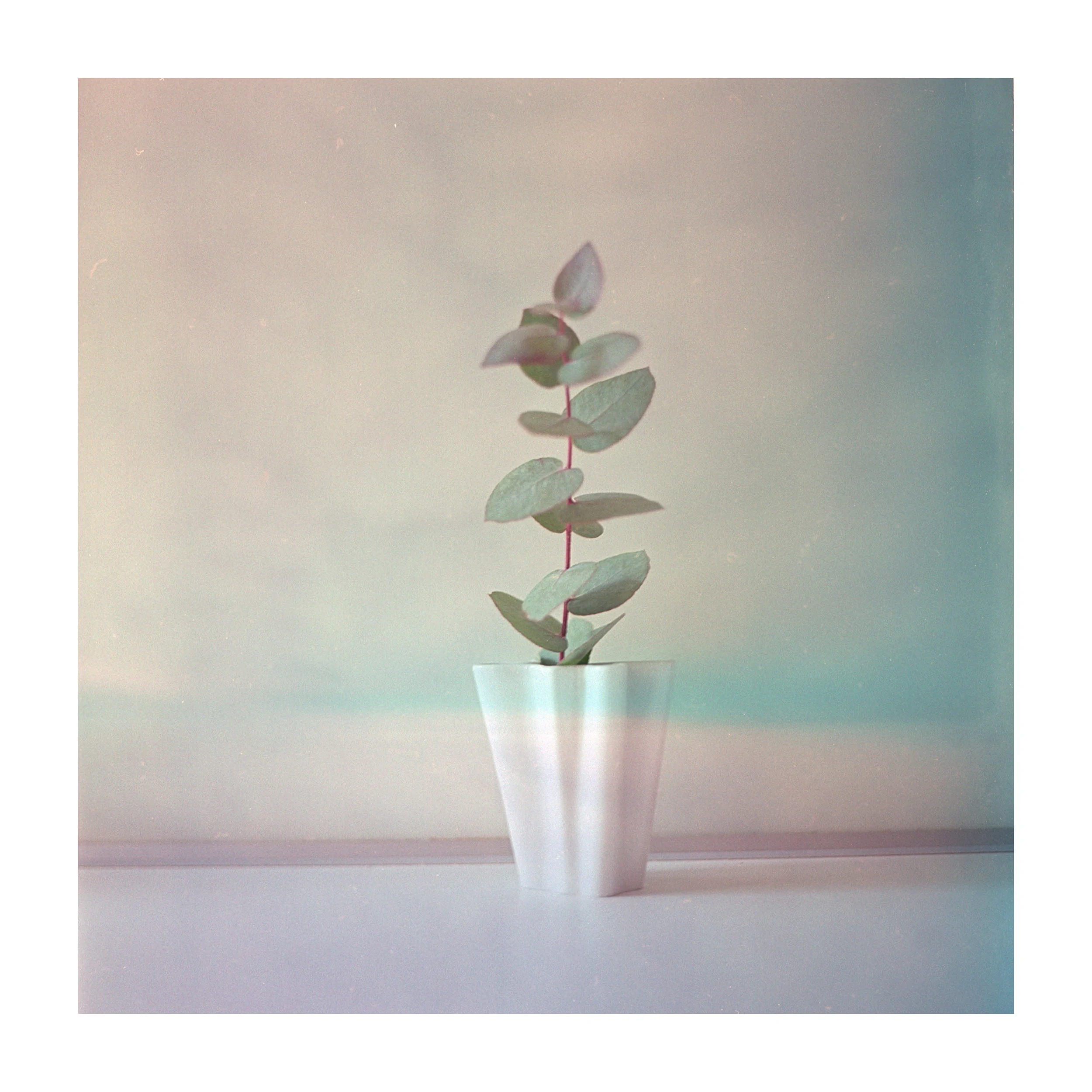 Serien · Film · analog