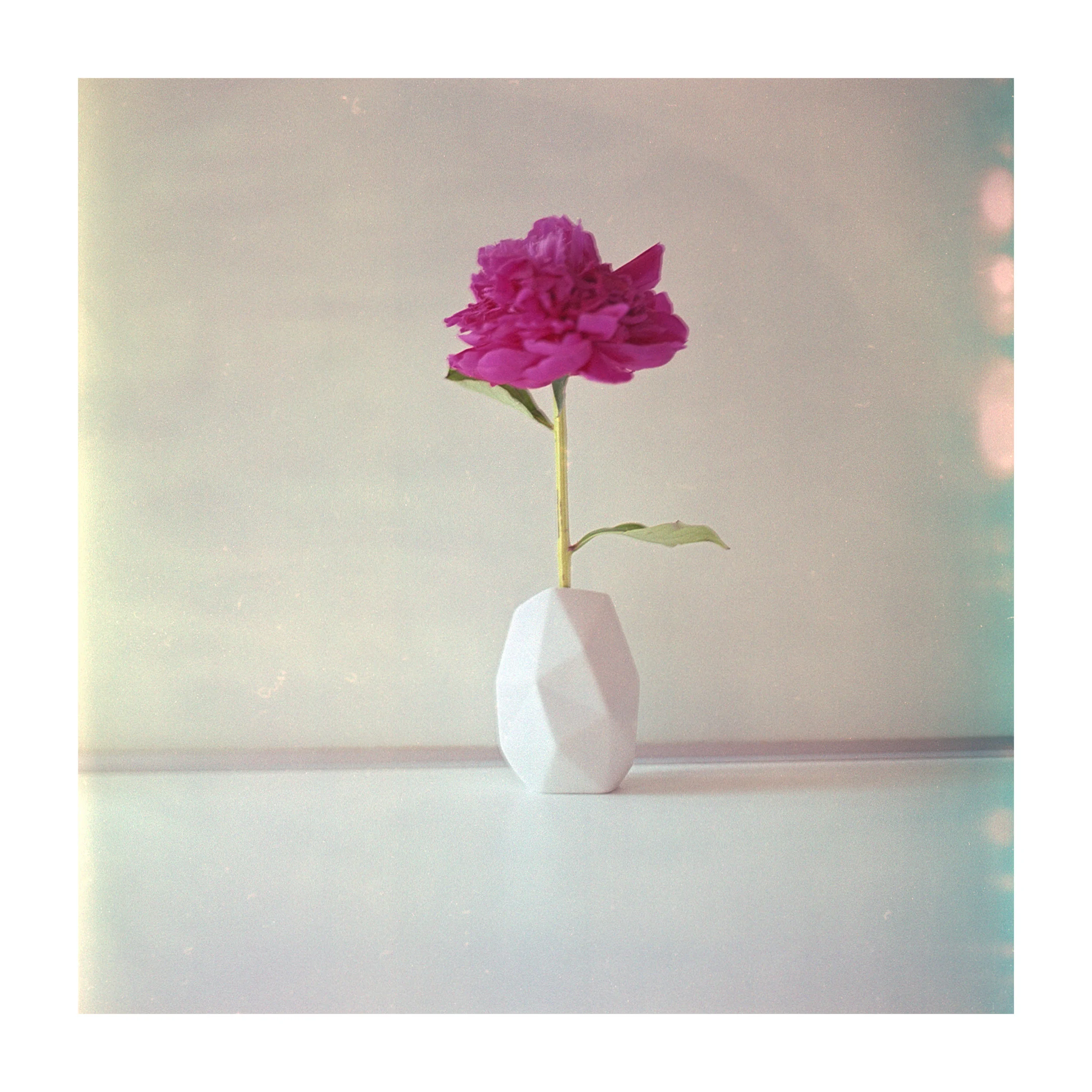 Serien · Film · analog
